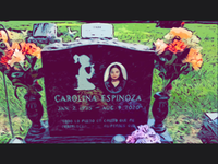 My Favorite Memories(standard download)